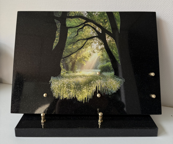 Plaque granit sous bois