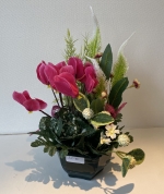 Coupe cyclamen veronique craspedia fuchsia