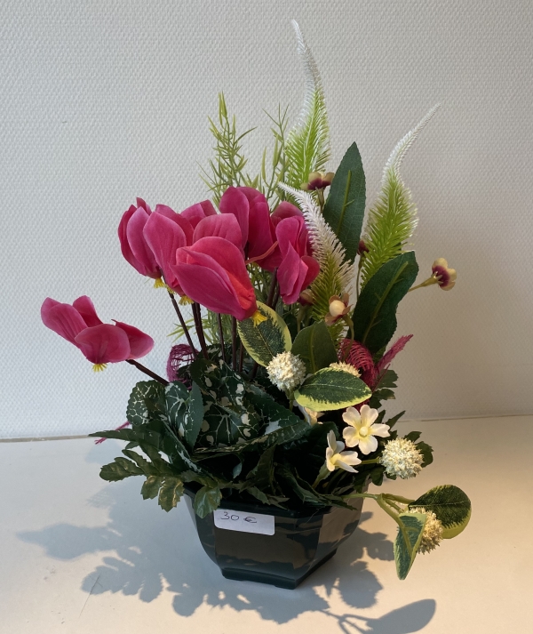 Coupe cyclamen veronique craspedia fuchsia