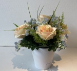 Coupe couleur rose gypso