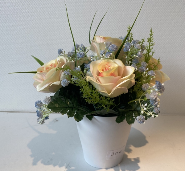 Coupe couleur rose gypso